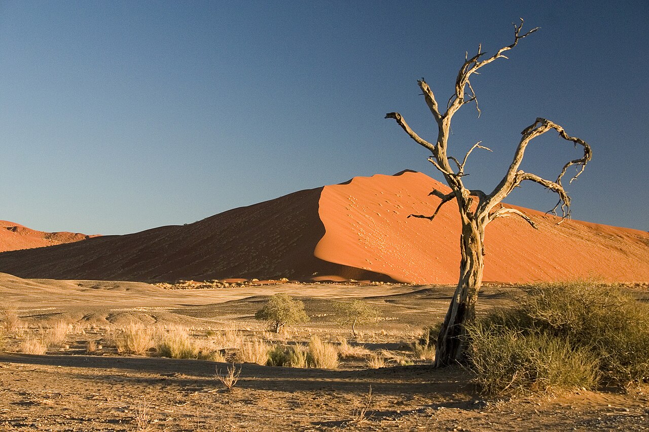 Namibie